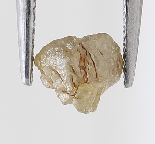 Rough diamond 61tcw natural - rough,